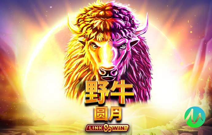 6686官方版app下载